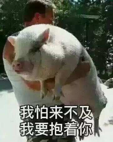 2022年冬奥会参加国家_2022世界杯在哪个国家_2022年冬奥会有哪些国家参加