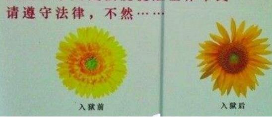 2022年冬奥会参加国家_2022世界杯在哪个国家_2022年冬奥会有哪些国家参加